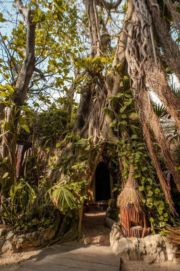Hotel Casa Colibri Playa del Carmen Eksteriør billede