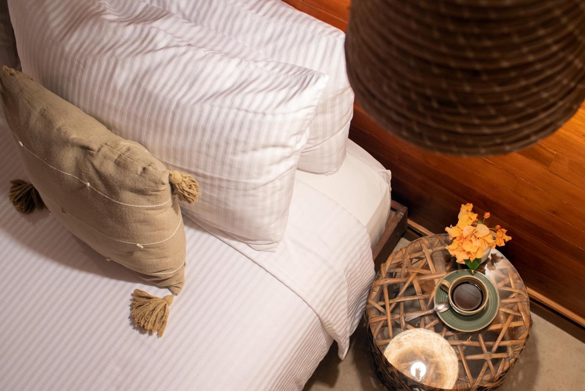 Hotel Casa Colibri Playa del Carmen Eksteriør billede