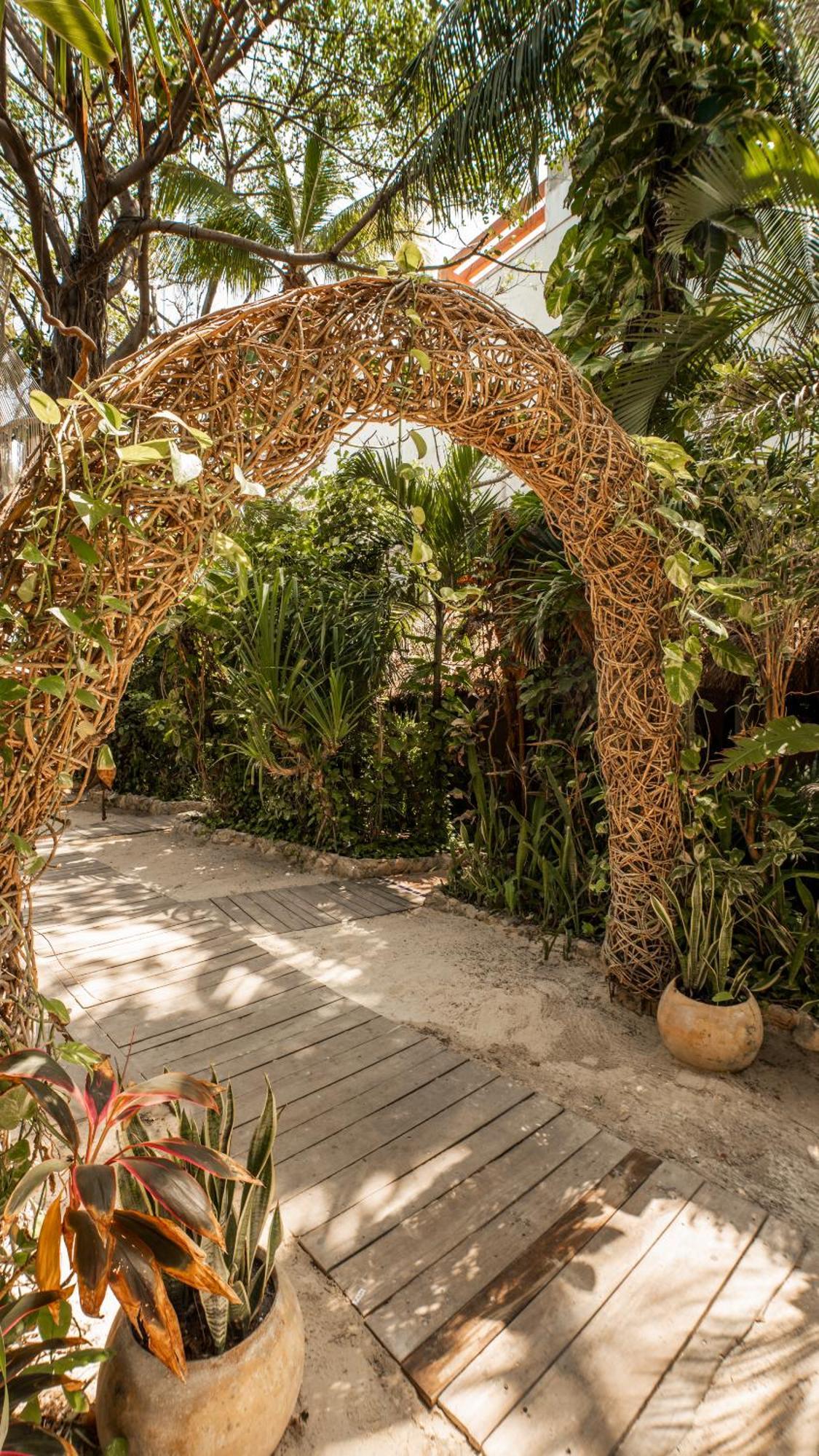 Hotel Casa Colibri Playa del Carmen Eksteriør billede