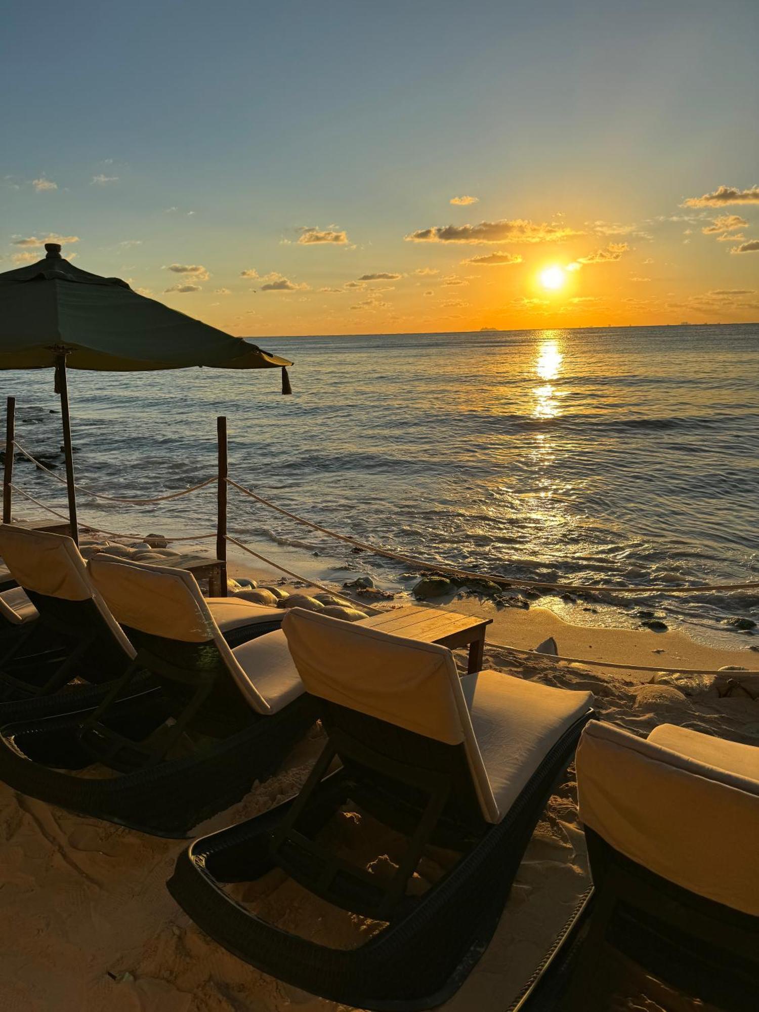 Hotel Casa Colibri Playa del Carmen Eksteriør billede